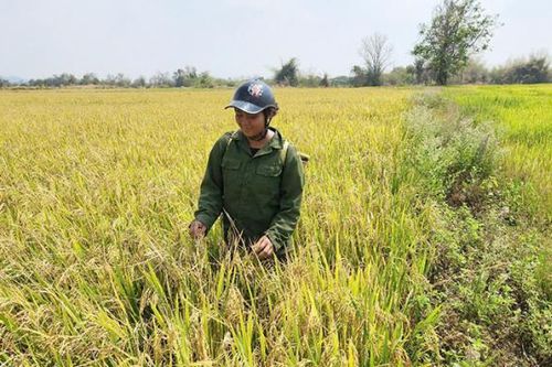 Dòng nước mát đưa xã biên giới ấm no