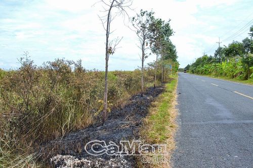 Cảnh báo nguy cơ cháy lan từ đốt cỏ, rác