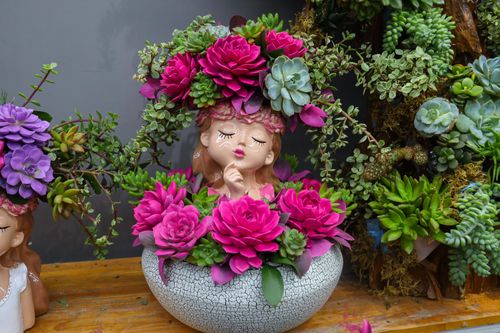 Khách hàng đổi 'gu', săn mua sen đá độc lạ dịp 8/3