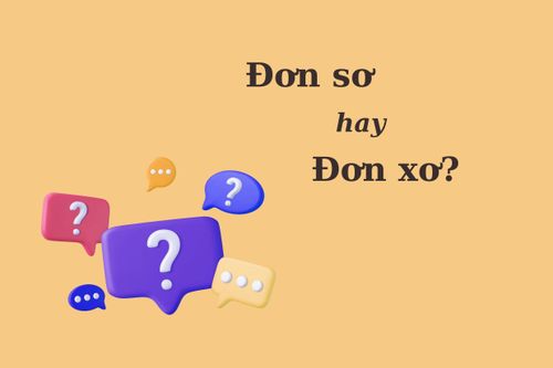 90% người nhầm lẫn: 'Đơn sơ' hay 'đơn xơ'?