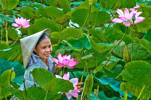 Đồng Tháp được hợp nhất từ những tỉnh nào?