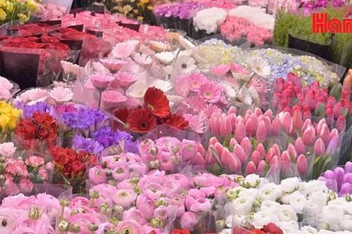 Tôn vinh phái đẹp bằng sắc hoa