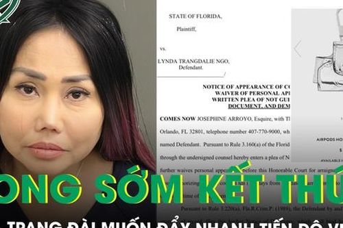 Lynda Trang Đài yêu cầu công tố cung cấp bằng chứng cô trộm đồ, mong sớm kết thúc vụ kiện