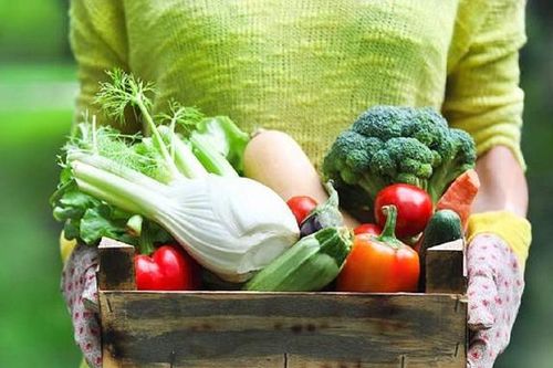 Chuyên gia dinh dưỡng: Kẹo bổ sung chất xơ không thể thay thế rau củ quả