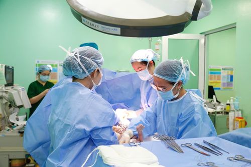 Khi nào được mổ lấy thai chủ động?
