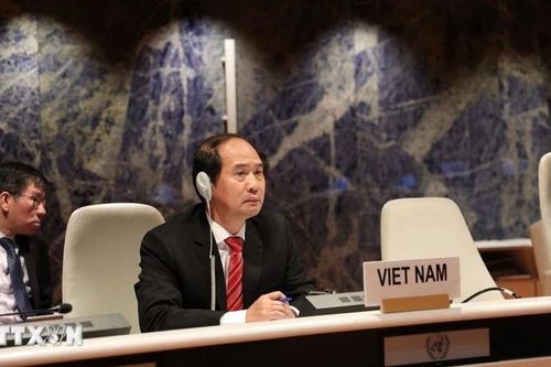 Việt Nam đạt được nhiều thành tựu trong bảo vệ quyền của người khuyết tật