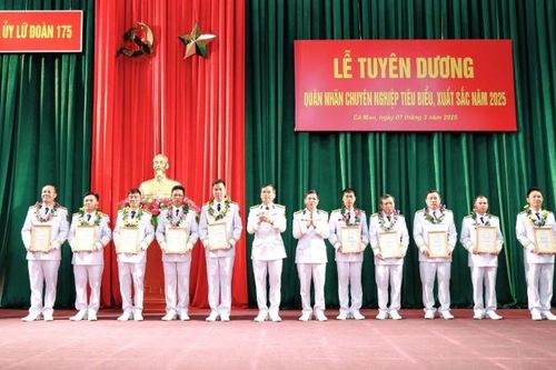 Phát huy vai trò, trách nhiệm của quân nhân chuyên nghiệp