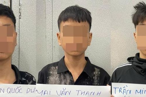 'Nhập nha' sa lưới