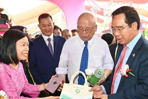 Khai mạc Lễ hội Việt Nam - Nhật Bản tại TPHCM lần thứ 10