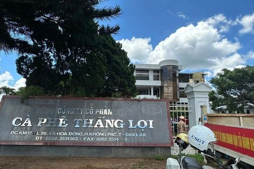 Đắk Lắk: Kiến nghị thu hồi 616ha đất cà phê của Công ty cà phê Thắng Lợi