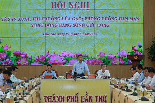 Đánh giá chính xác tình hình thị trường xuất khẩu gạo trên thế giới