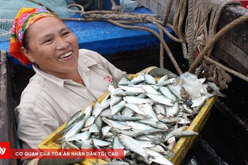 Khi cơm áo lấn át ngày yêu thương