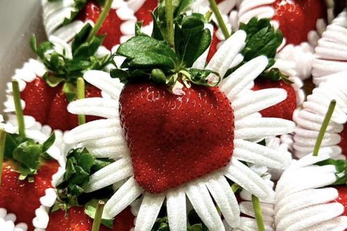 'Kim cương đỏ' Nhật Bản 4 triệu/kg thành hàng 'hot' dịp 8/3