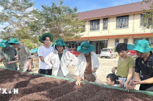 Đắk Lắk: Sẵn sàng phục vụ du khách đến với Lễ hội Càphê Buôn Ma Thuột lần thứ 9
