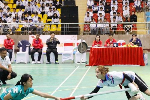 Hơn 250 vận động viên tranh tài tại Giải vô địch đẩy gậy Quốc gia năm 2025