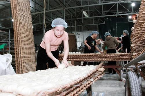 Hỗ trợ phát triển bền vững các hợp tác xã do phụ nữ quản lý
