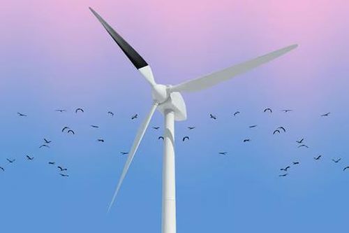 Lý do turbine điện gió ngoài khơi ở Vương quốc Anh được sơn màu đen