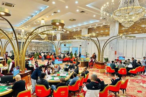 Triệt phá đường dây tổ chức đánh bạc, thu giữ 720 tỷ đồng
