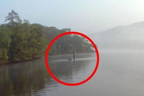 Trung tâm nghiên cứu quái vật hồ Loch Ness tuyển dụng thợ săn Nessie toàn thời gian và mức lương khiến nhiều người sốc tột độ