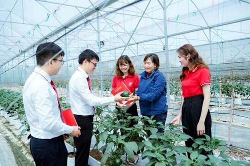 Tín dụng xanh cho Tây Nguyên xanh