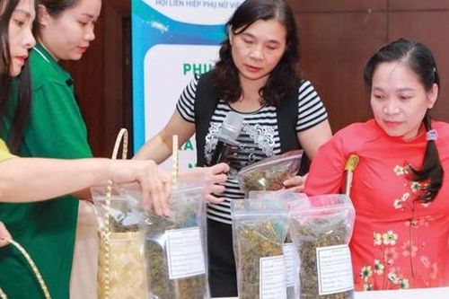 30 năm thực hiện Cương lĩnh hành động Bắc Kinh: Việt Nam trên 'bản đồ' bình đẳng giới quốc tế
