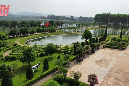 Hướng đến chuyển đổi xanh