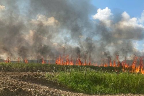 Kbang: Cháy 6,7 ha mía của 7 hộ dân ở xã Nghĩa An