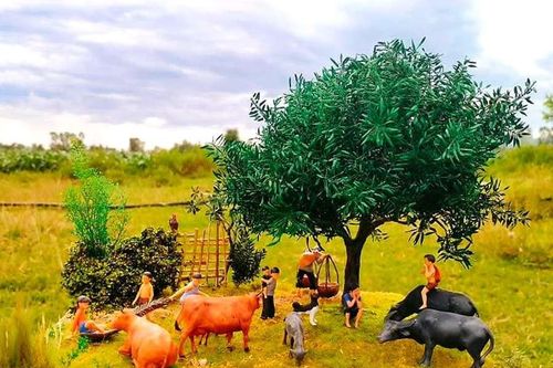 Nhớ tuổi thơ 'cắt cỏ, chăn bò'