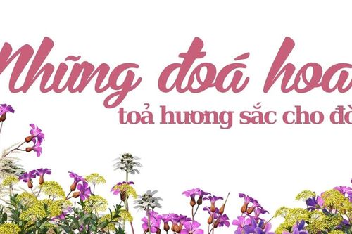 Những đóa hoa tỏa hương sắc cho đời