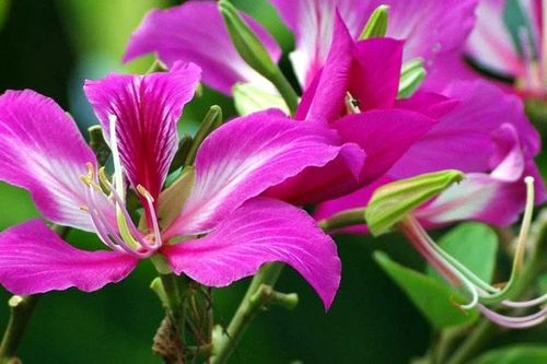 Đêm và sáng trời rét, vùng cao và núi cao rét đậm, rét hại