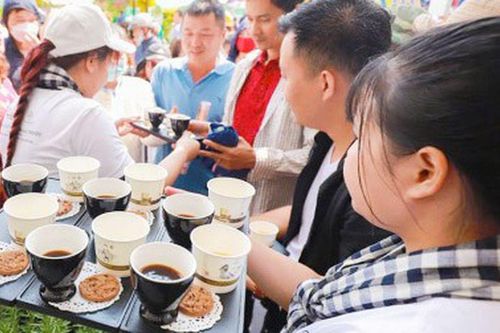 Đắk Nông: Có 11 doanh nghiệp tham gia Lễ hội cà phê Buôn Ma Thuột lần thứ 9 năm 2025