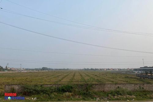 Hải Dương: Thu hồi hơn 34,7 ha đất làm dự án của công ty Vinamit do vi phạm về đất đai