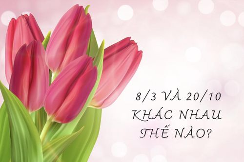 Ngày 8/3 và ngày 20/10 khác nhau thế nào?
