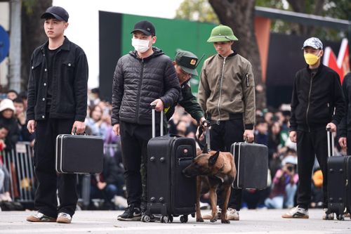 Cảnh khuyển phát hiện hàng cấm, trổ tài vượt vòng lửa trên phố đi bộ Hồ Gươm