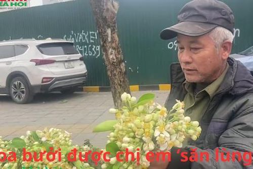 Hoa bưởi được chị em 'săn lùng' trước khi hết mùa