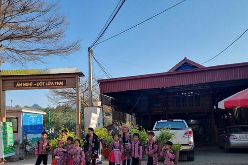 Những đứa trẻ thích đi làm hơn đi học