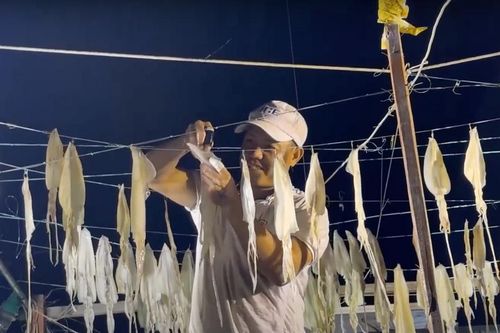Ngư dân vui mùa mực lá