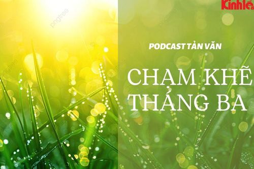 Podcast Tản văn: Chạm khẽ tháng Ba!