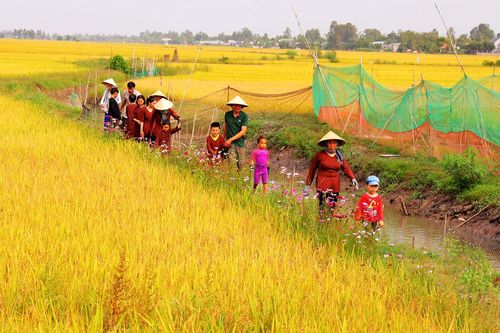 Phát triển du lịch nông nghiệp bền vững