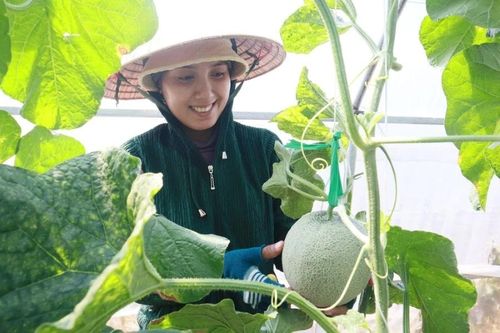 Tín dụng xanh được 'trải thảm': Vì sao vẫn ì ạch?