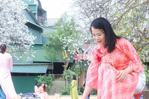 Rợp sắc hoa ban cung đường vùng cao Nghệ An