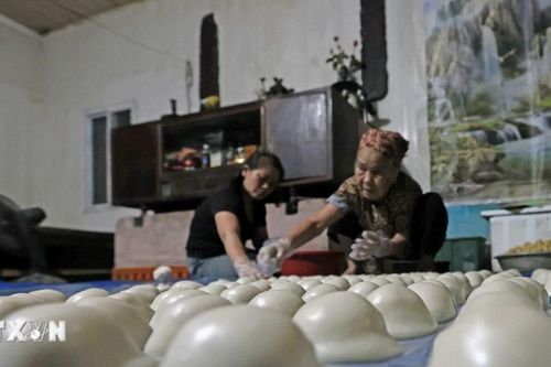 Bánh dầy Quán Gánh - đặc sản mộc mạc trứ danh của đất Hà Thành