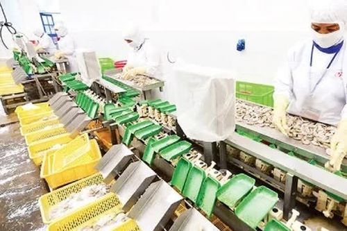 Lối đi nào cho doanh nghiệp trước những điều chỉnh chính sách lớn của EU?