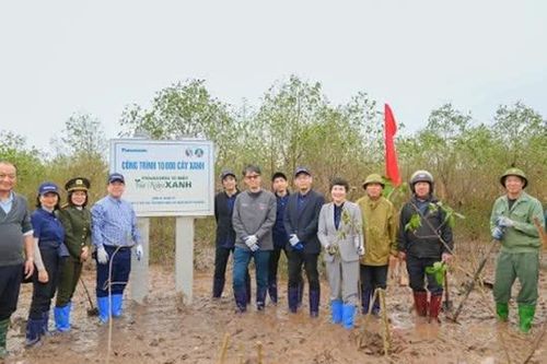 Thái Bình: Trồng 10.000 cây bần chua tại vùng đất ngập nước ven biển