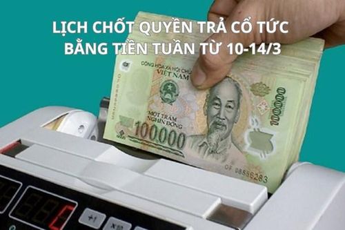 Lịch chốt quyền trả cổ tức bằng tiền tuần tới (từ 10-14/3): FOX trả cổ tức cao nhất 20%