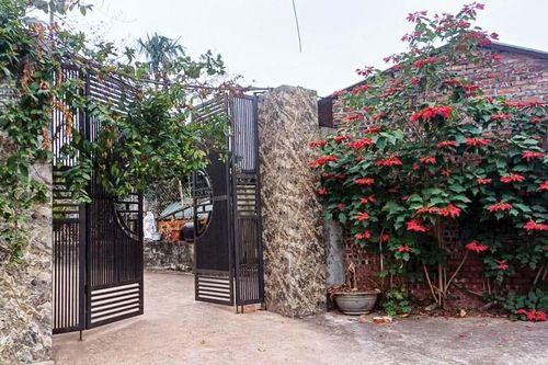 Những cánh cổng ở cố hương