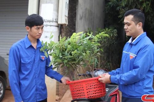Hiệu quả mô hình 'Vườn ươm thanh niên'