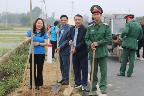 Hình thành 'hộ lan xanh' trên nhiều tuyến đường ở huyện Quốc Oai