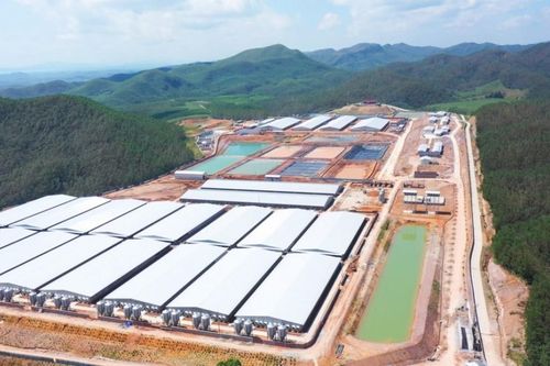 Cổ phiếu tăng gấp đôi sau 6 tháng, BAF có triển vọng thế nào?