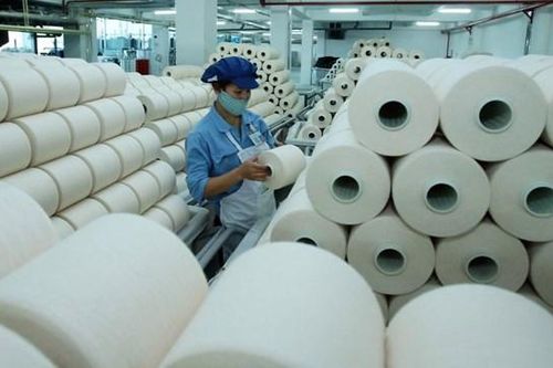 Sợi Thế Kỷ (STK): Đẩy nhanh phát hành riêng lẻ, dồn lực trả cổ tức khủng 45% bằng cổ phiếu vào năm 2025